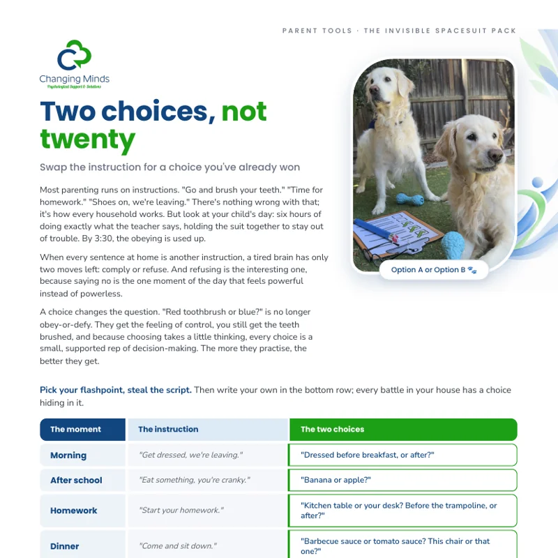 Two choices, not twenty: end the daily standoffs printable resource preview