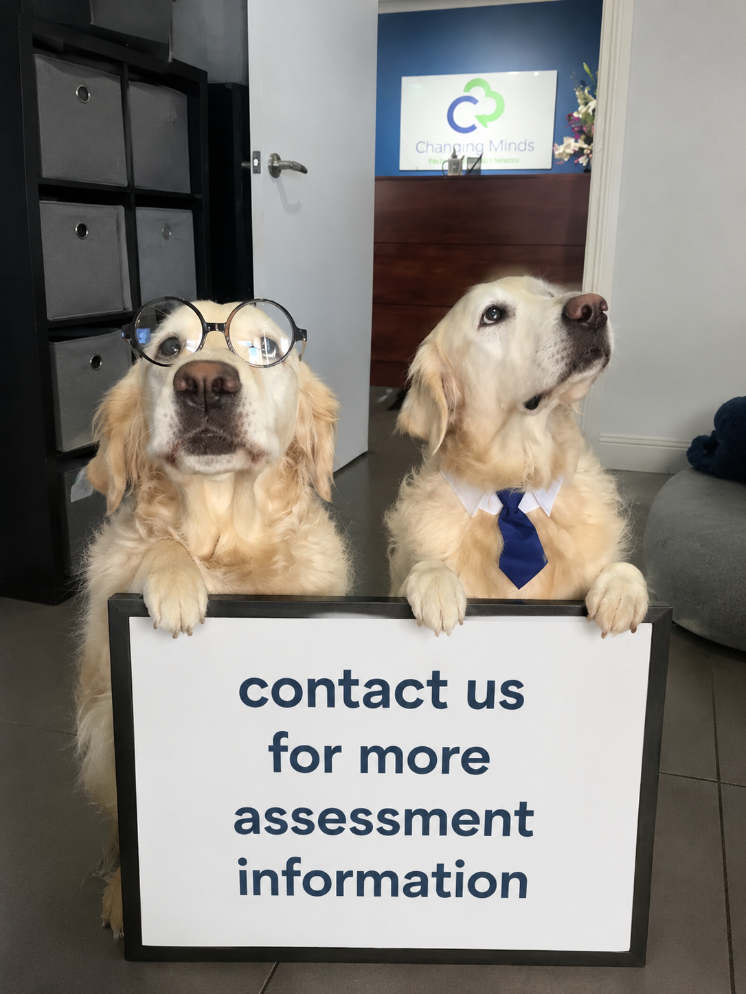 Gracey and Oscar, our resident dogs, holding a sign that reads: contact us for more assessment information