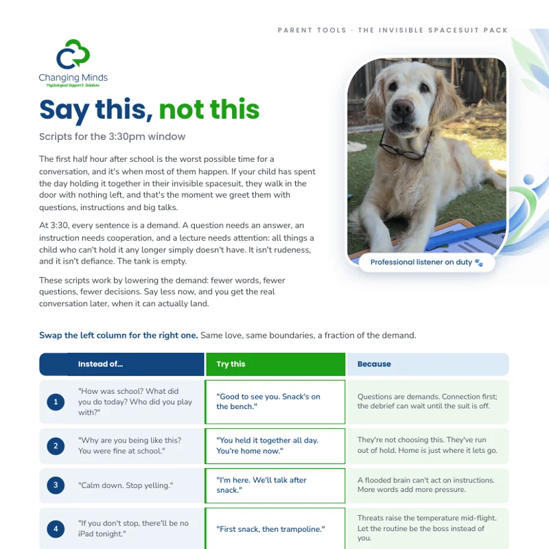 Say this, not this: scripts for the 3:30pm window printable resource preview